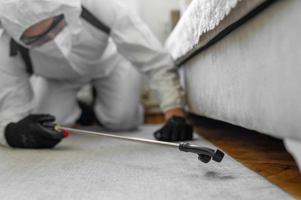 Professional Bed Bug Control technician working in New Middletown, OH