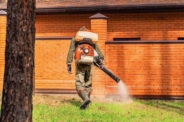 Trusted Bed Bug Control service in New Middletown, OH - Nex Pest Control